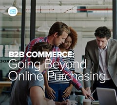 netsuite ecommerce