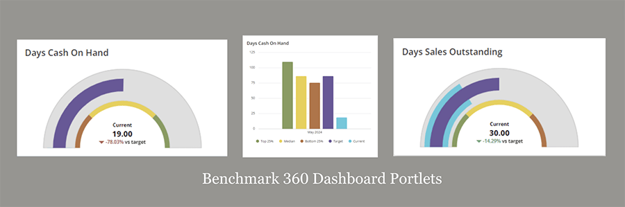 New NetSuite Benchmark 360 SuiteApp