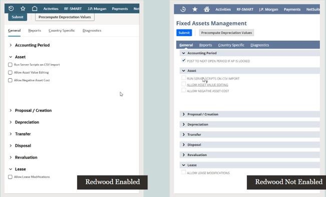 NetSuite-2025-Redwood-Update