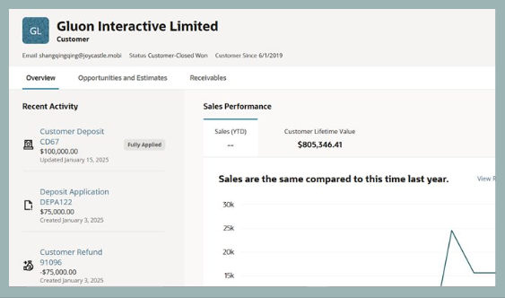 NetSuite-customer-360