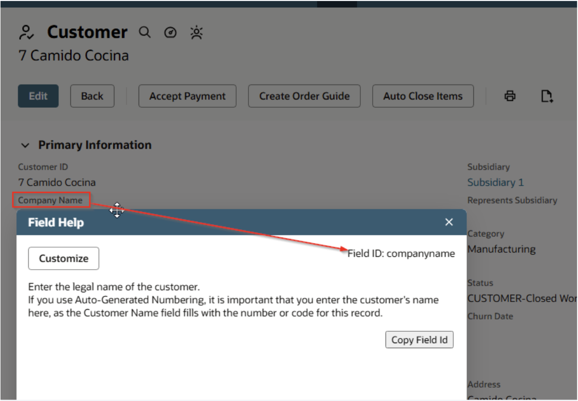 netsuite-custom-fields-tips