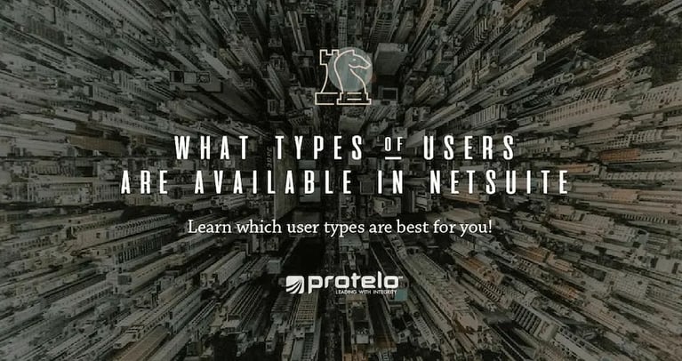 What types of users are available in NetSuite? }}