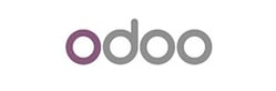 netsuite vs odoo