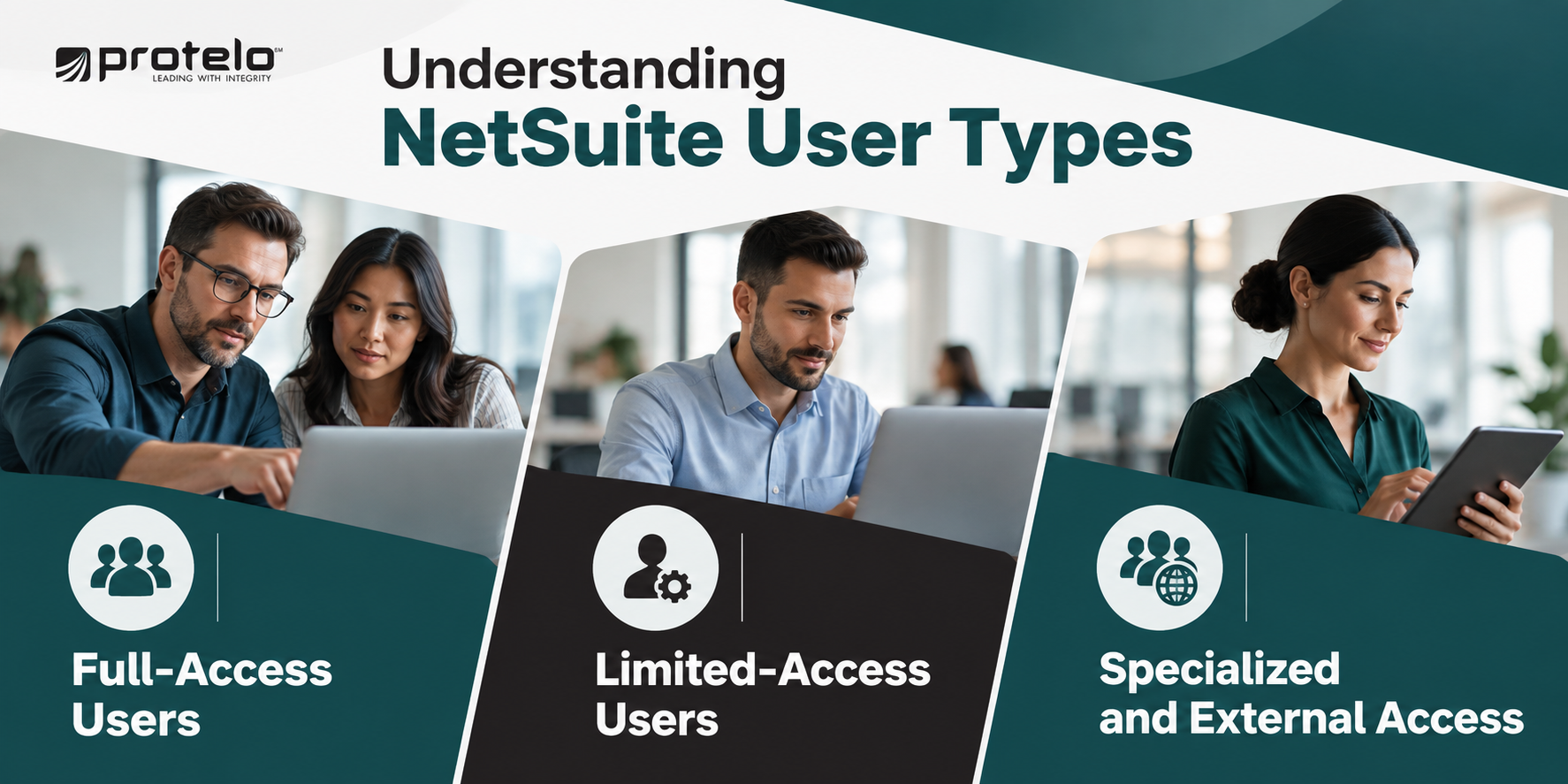 NetSuite user license types and access levels