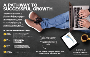 NetSuite SuiteSuccess PDF