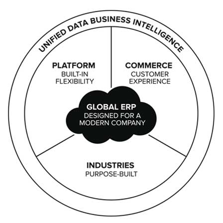 Netsuite ERP wheel