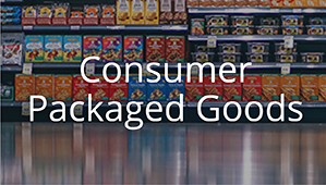 netsuite for consumer packaged goods distributors