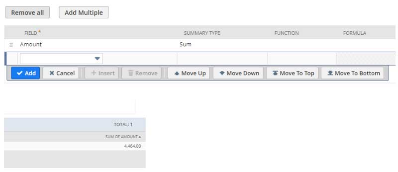 NetSuite dynamic fields